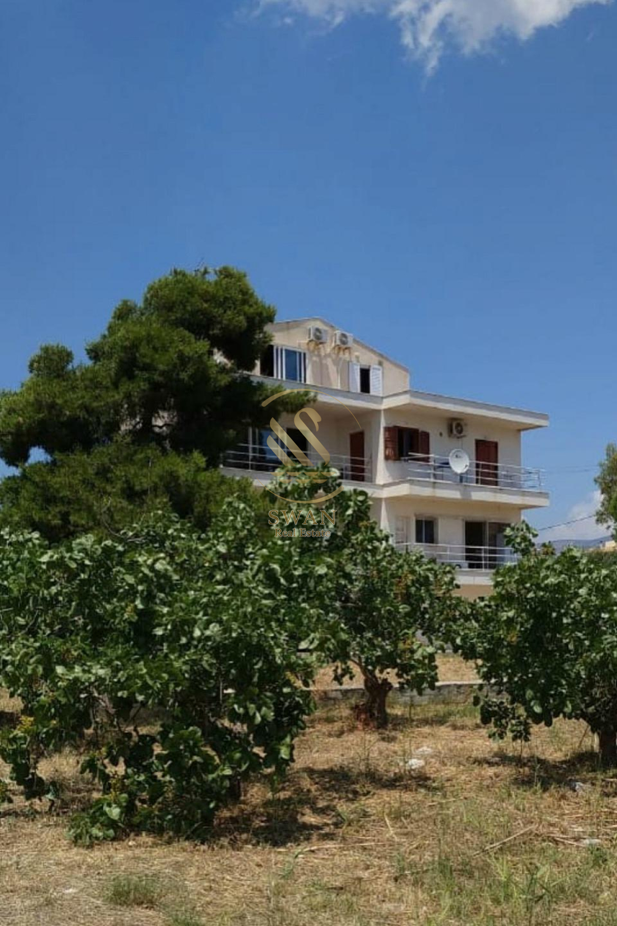 property-img